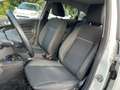 Ford Fiesta Fiesta 1.4 5 porte Bz.- GPL Business*NEOPATENTATI Blanc - thumbnail 7