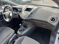 Ford Fiesta Fiesta 1.4 5 porte Bz.- GPL Business*NEOPATENTATI Blanc - thumbnail 9