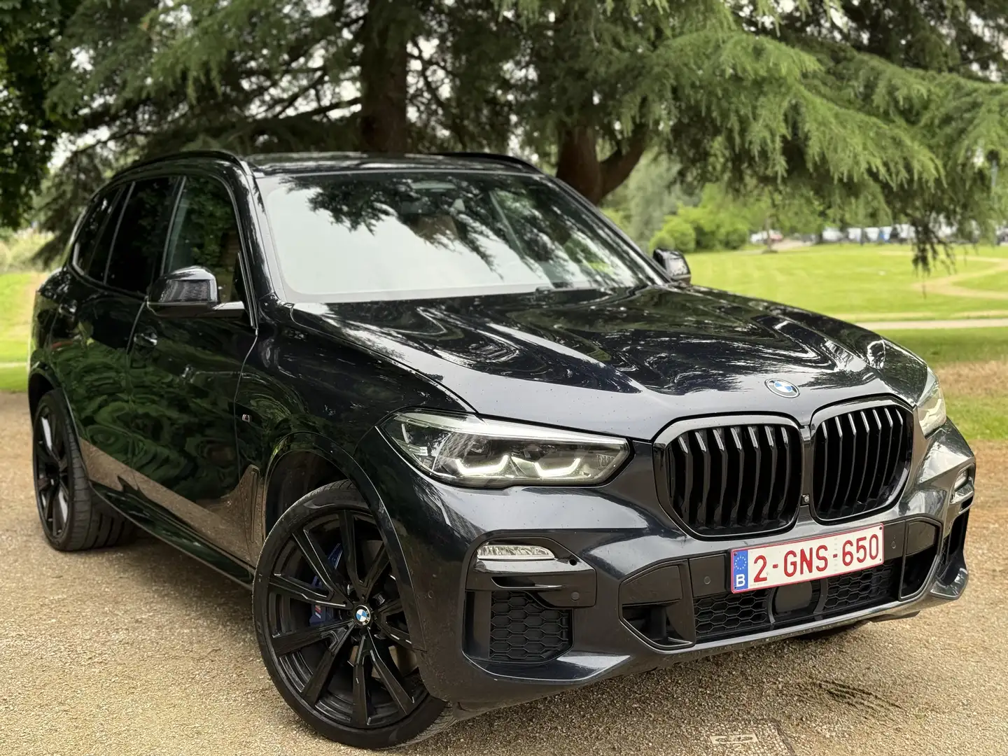 BMW X5 3.0 dA xDrive30 AdBlue - 2