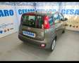 Fiat New Panda 1.0 FireFly Hybrid Grigio - thumbnail 3