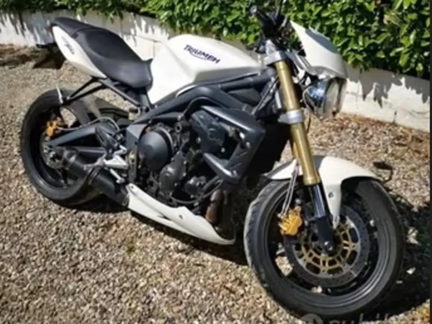 Triumph Street Triple 675 Blanco - 1