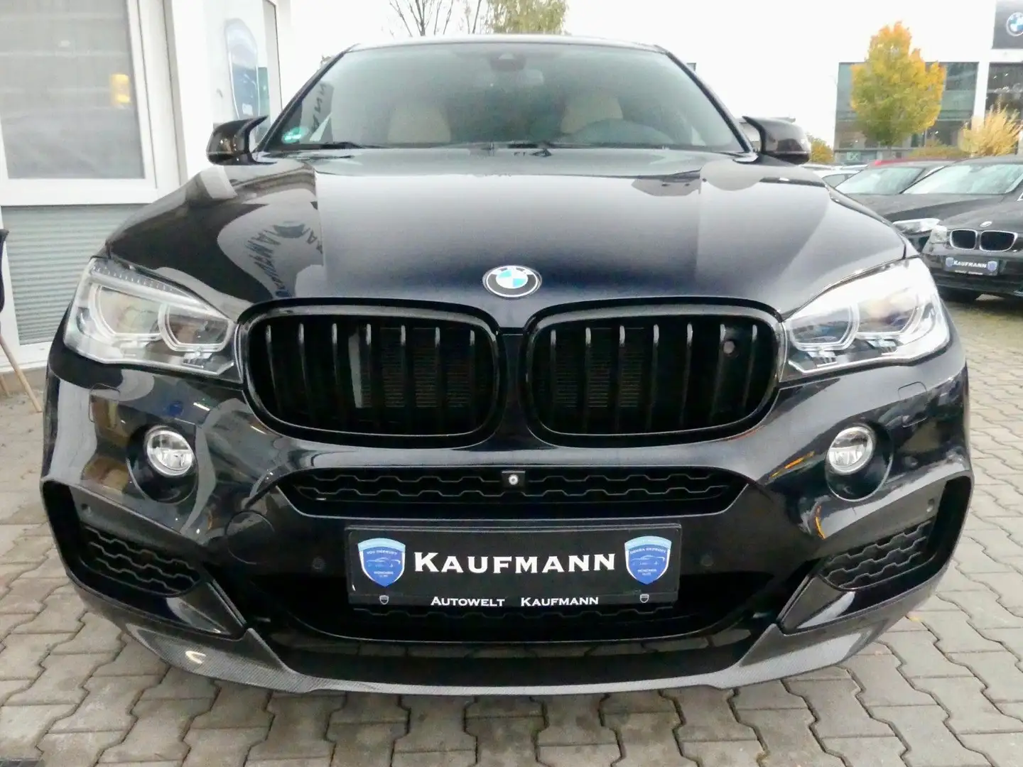 BMW X6 xDrive 50 i M-Paket HUD Night-Vision Harman-K Negro - 2