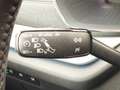 Skoda Octavia 1.5 TSI First Edition 4xSHZ*KeyLess Schwarz - thumbnail 21