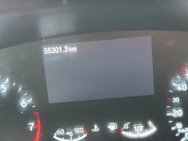 Ford Focus view 16