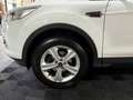 Ford Kuga | 1.5 Titanium | Weiß - thumbnail 35