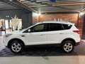 Ford Kuga | 1.5 Titanium | Weiß - thumbnail 36