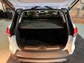 Ford Kuga | 1.5 Titanium | Weiß - thumbnail 11