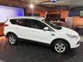 Ford Kuga | 1.5 Titanium | Weiß - thumbnail 2