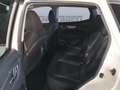 Nissan Qashqai 1.5 dci Tekna+ 115cv Bianco - thumbnail 9