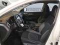 Nissan Qashqai 1.5 dci Tekna+ 115cv Bianco - thumbnail 8
