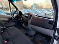 Mercedes-Benz Sprinter Sprinter T43/35 311 CDI Cabinato Executive Bianco - thumbnail 7