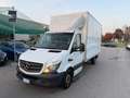 Mercedes-Benz Sprinter Sprinter T43/35 311 CDI Cabinato Executive Bianco - thumbnail 1