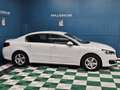 Peugeot 508 1.6 BLUEHDI 120CH BUSINESS PACK S&S Blanc - thumbnail 5
