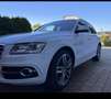 Audi SQ5 3.0 TDI competition quattro Weiß - thumbnail 1