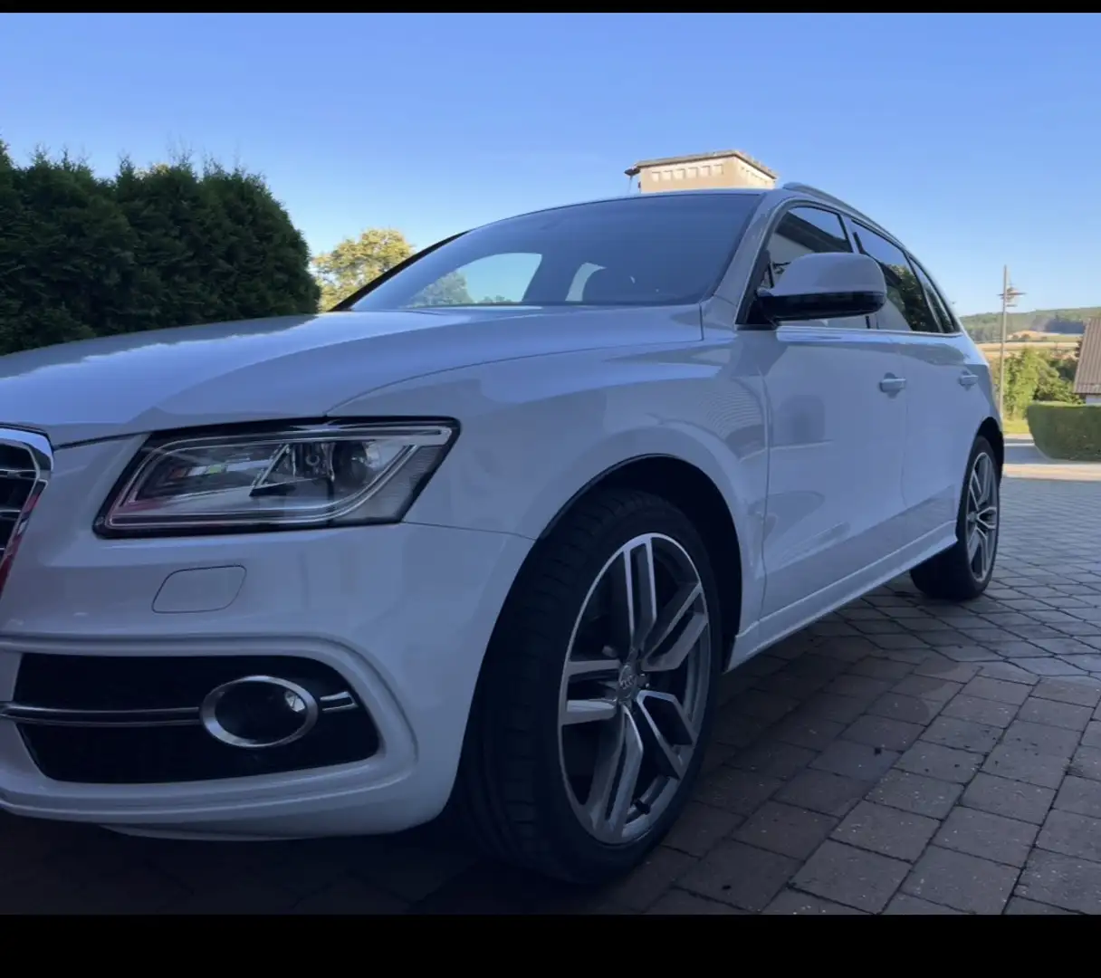 Audi SQ5 3.0 TDI competition quattro Weiß - 1