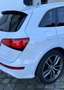 Audi SQ5 3.0 TDI competition quattro Weiß - thumbnail 4