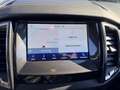 Ford Ranger Wildtrack 4x4 Doppelkabine + Standheizung Argent - thumbnail 19