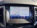 Ford Ranger Wildtrack 4x4 Doppelkabine + Standheizung Argent - thumbnail 20