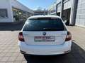 Skoda Rapid/Spaceback Spaceback Active*1.HAND+SOMMER/WINTERRÄDER Weiß - thumbnail 7