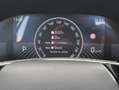 Skoda Fabia 1.0 TSI Selection DSG 85kW Blanco - thumbnail 10