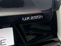 Lexus UX 250h 2.0i HYBRIDE 58000km Top configuration Schwarz - thumbnail 5