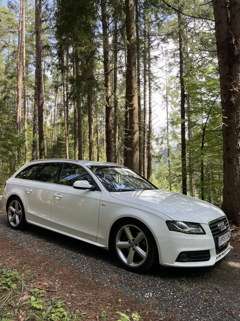 Audi A4 Avant 2,0 TDI DPF Weiß - 2