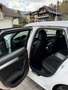 Audi A4 Avant 2,0 TDI DPF Weiß - thumbnail 5