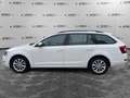 Skoda Octavia Octavia 1.6 TDI CR 110 CV Wagon Ambition Bianco - thumbnail 8