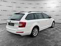 Skoda Octavia Octavia 1.6 TDI CR 110 CV Wagon Ambition Bianco - thumbnail 5