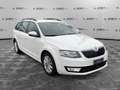 Skoda Octavia Octavia 1.6 TDI CR 110 CV Wagon Ambition Wit - thumbnail 3