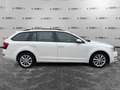 Skoda Octavia Octavia 1.6 TDI CR 110 CV Wagon Ambition Wit - thumbnail 4