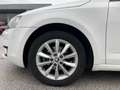 Skoda Octavia Octavia 1.6 TDI CR 110 CV Wagon Ambition Wit - thumbnail 9