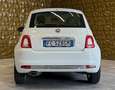 Fiat 500 500 1.2 Lounge easypower Gpl 69cv Bianco - thumbnail 4