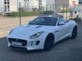Jaguar F-Type 3.0 V6 Supercharged convertible | sportuitlaat!! Blanc - thumbnail 16