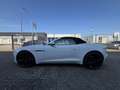 Jaguar F-Type 3.0 V6 Supercharged convertible | sportuitlaat!! Blanc - thumbnail 10