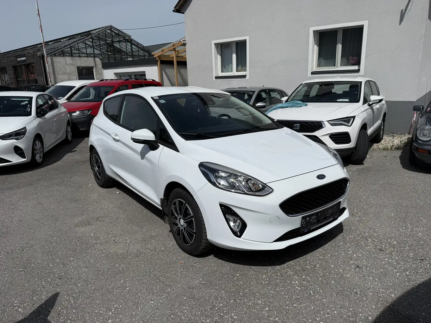 Ford Fiesta Fiesta Trend 1,1 Start/Stop Trend Modell 2020 Weiß - 2