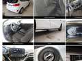 Ford Fiesta Fiesta Trend 1,1 Start/Stop Trend Modell 2020 Weiß - thumbnail 10