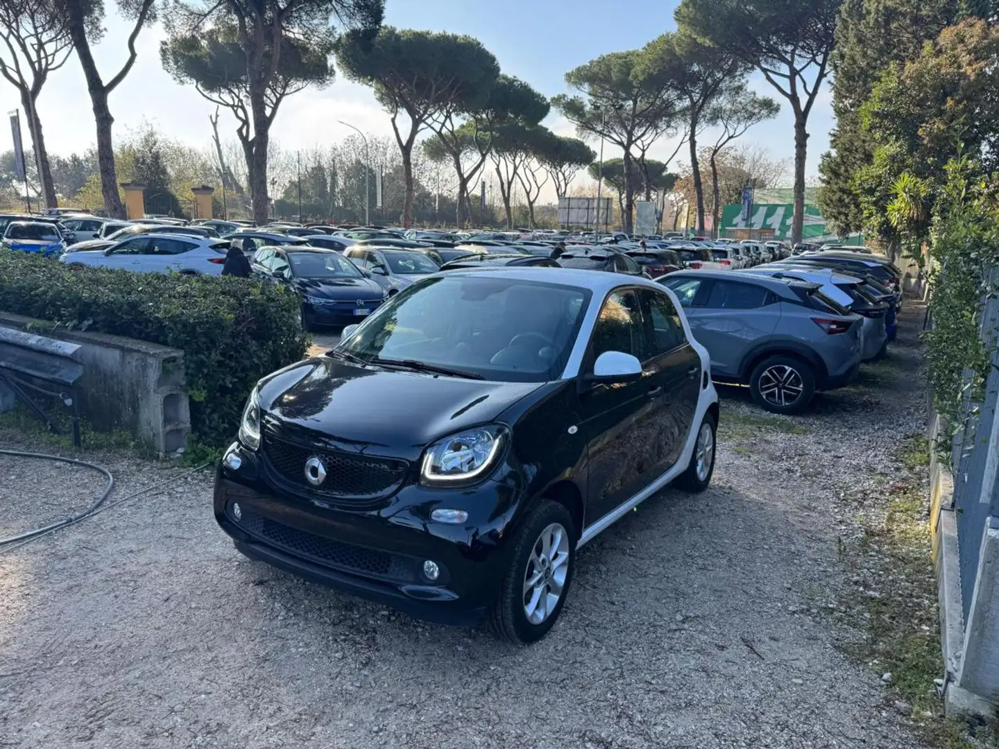 smart forFour 1.0cc 71cv CRUISE CONTROL CERCHI IN LEGA Nero - 1