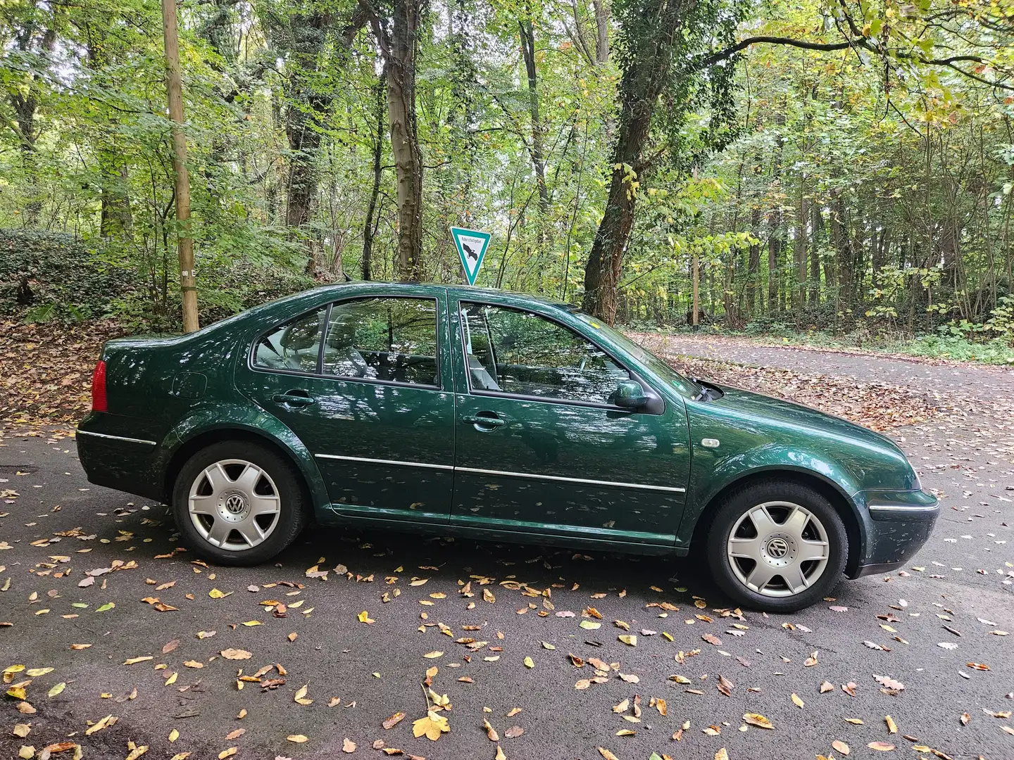 Volkswagen Bora Bora 2.0 Grün - 2