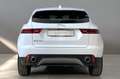 Jaguar E-Pace JAGUAR E-Pace 2.0D 150 CV AWD aut. Білий - thumbnail 8