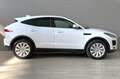 Jaguar E-Pace JAGUAR E-Pace 2.0D 150 CV AWD aut. Білий - thumbnail 6