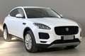 Jaguar E-Pace JAGUAR E-Pace 2.0D 150 CV AWD aut. Білий - thumbnail 5