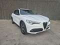 Alfa Romeo Stelvio 2.2 JTD//CARPLAY//GPS//USB/GARANTIE 12M Blanc - thumbnail 1