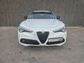 Alfa Romeo Stelvio 2.2 JTD//CARPLAY//GPS//USB/GARANTIE 12M Blanc - thumbnail 2