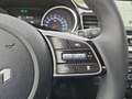 Kia Ceed SW / cee'd SW 1.5T 48V DCT Ultimate Edition  Style-Paket Navi LE Schwarz - thumbnail 24