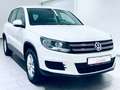 Volkswagen Tiguan Trend & Fun * 1.H * St-Heizung * 8xREIFEN Weiß - thumbnail 9