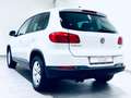Volkswagen Tiguan Trend & Fun * 1.H * St-Heizung * 8xREIFEN Weiß - thumbnail 6