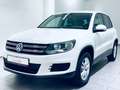 Volkswagen Tiguan Trend & Fun * 1.H * St-Heizung * 8xREIFEN Weiß - thumbnail 10