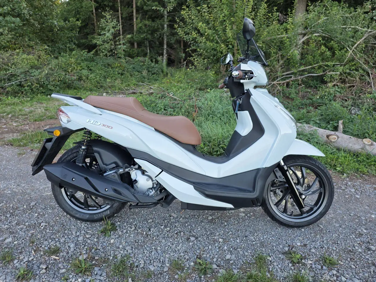 Sym HD 300