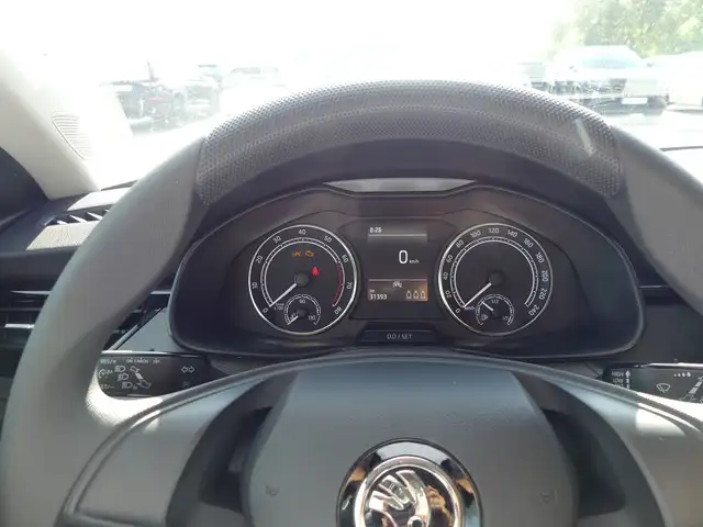 Skoda Scala view 10